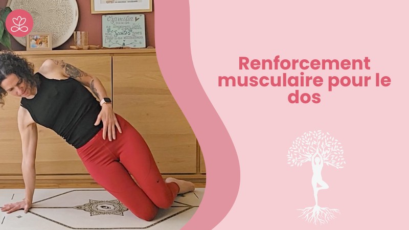 3. Renforcement musculaire pour le dos
